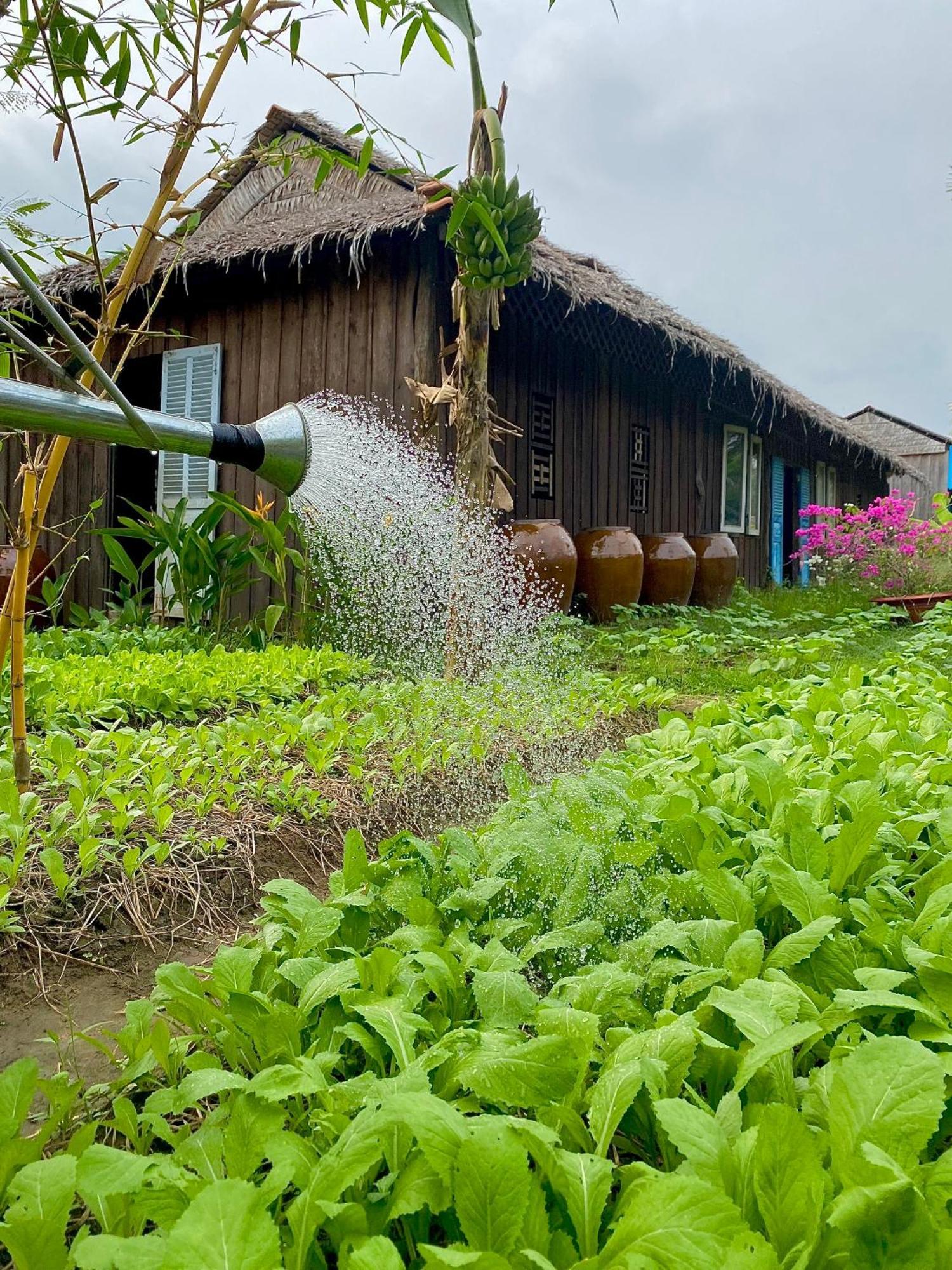 Mekong Silt Ecolodge Кантхо Экстерьер фото