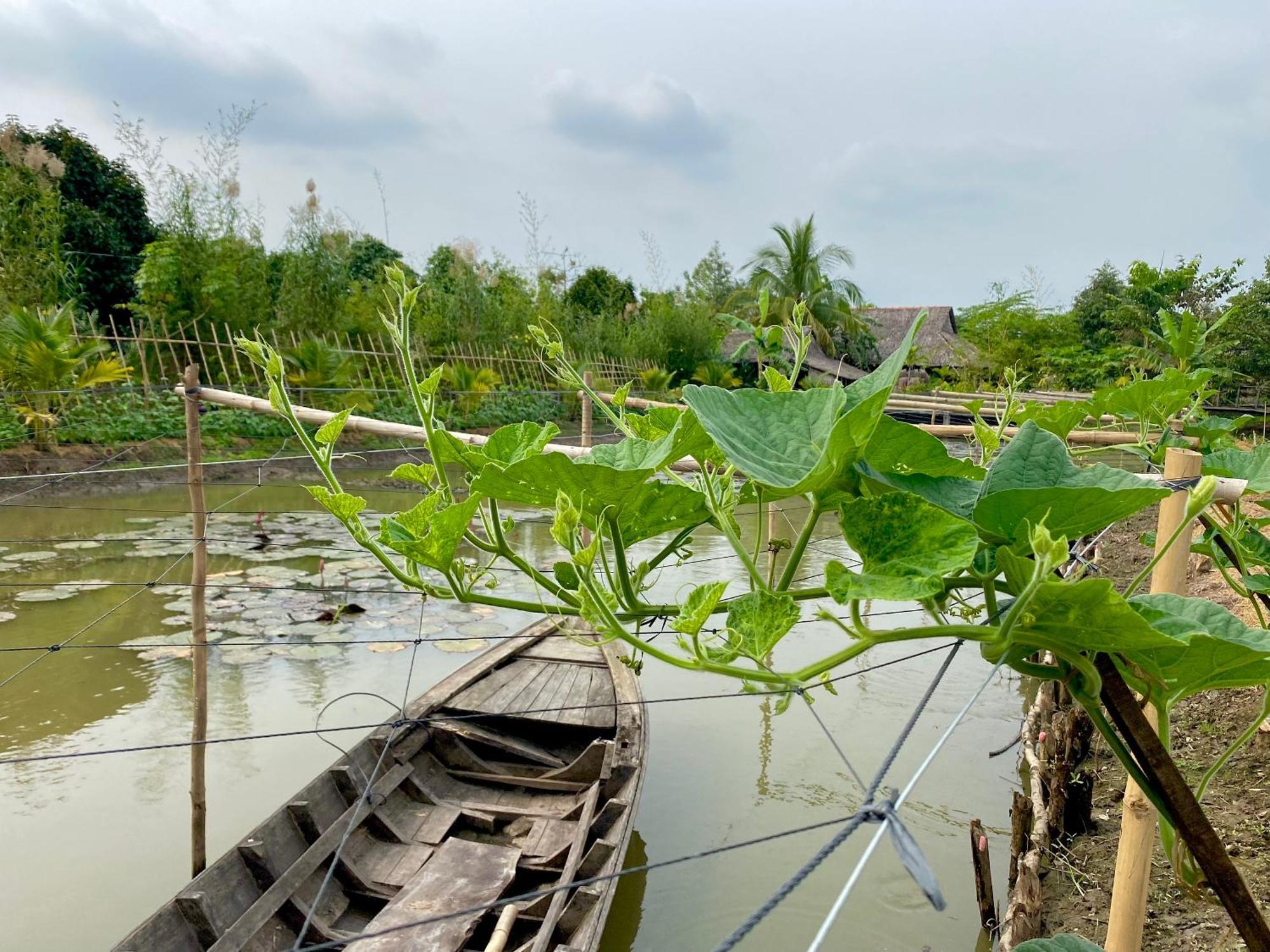 Mekong Silt Ecolodge Кантхо Экстерьер фото